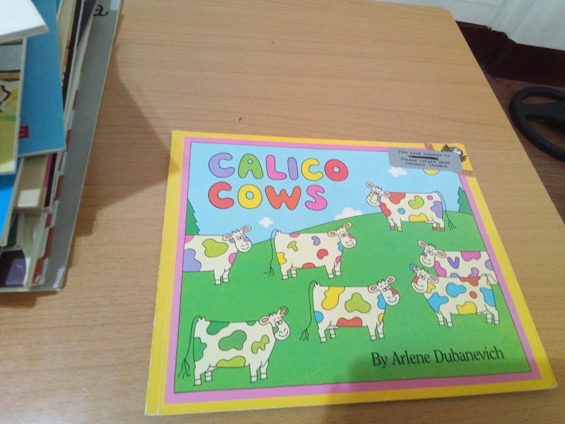 CALICO COWS