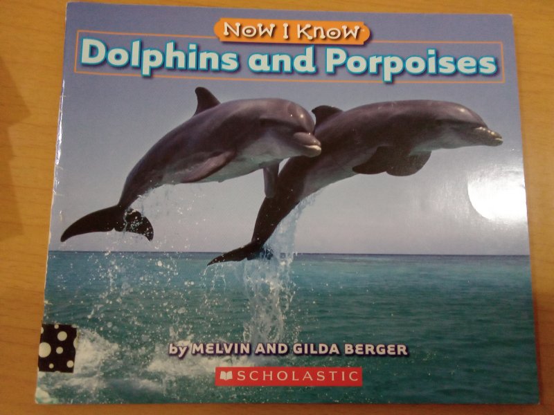 Dolphins and Porpoises