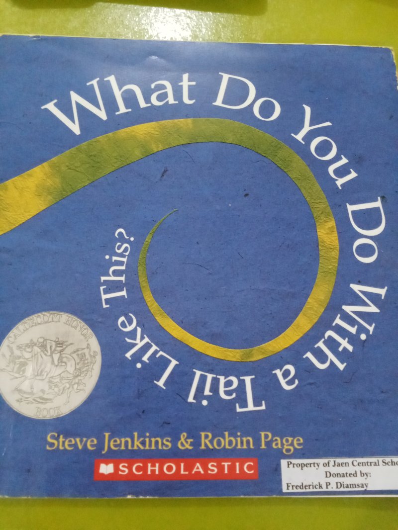 What Do You Do With a Tail Like This