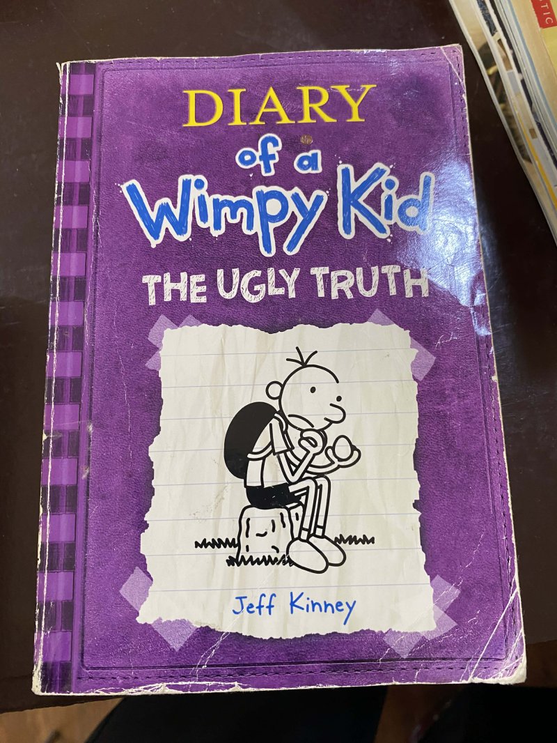 Diary of a Wimpy Kid the Ugly Truth