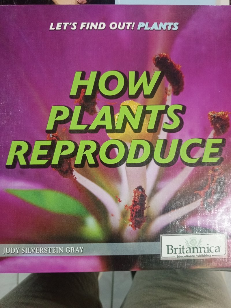 How Plants Reproduce