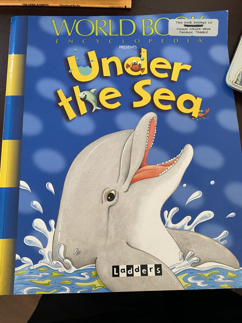 Under the Sea