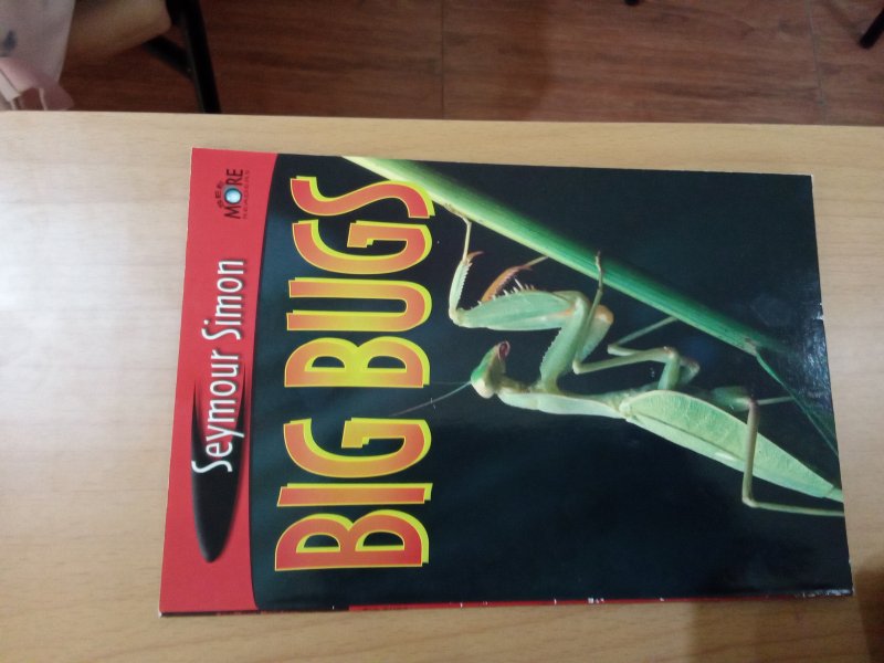 BIG BUGS