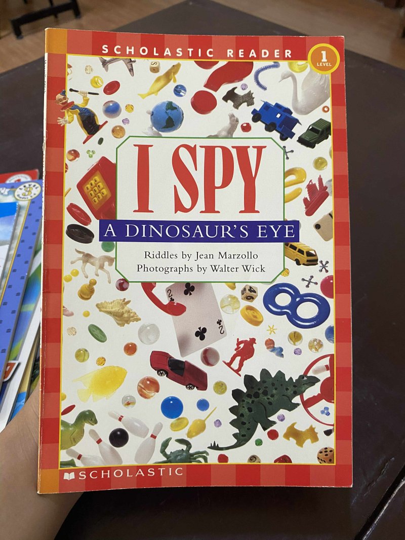 I spy A Dinosaur's Eye