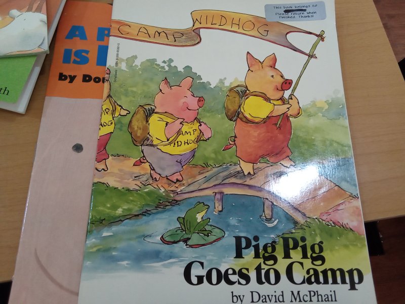 Pig Pig Goes To Camp